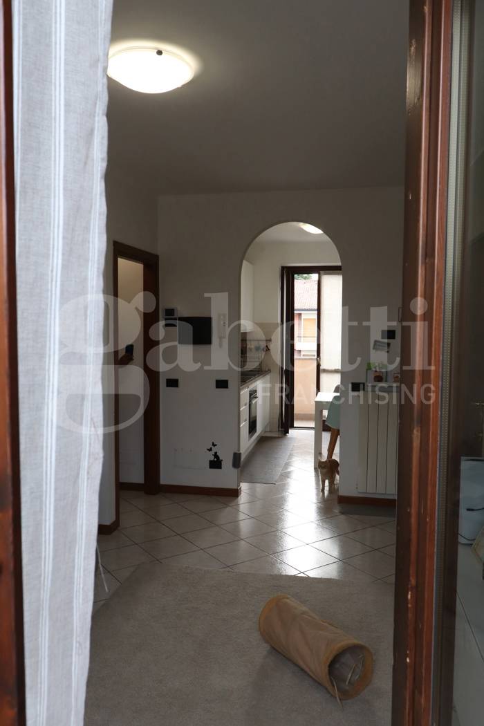  - foto 6