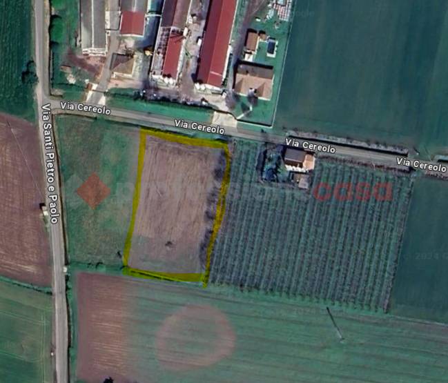 Terreno agricolo, Cologna Veneta