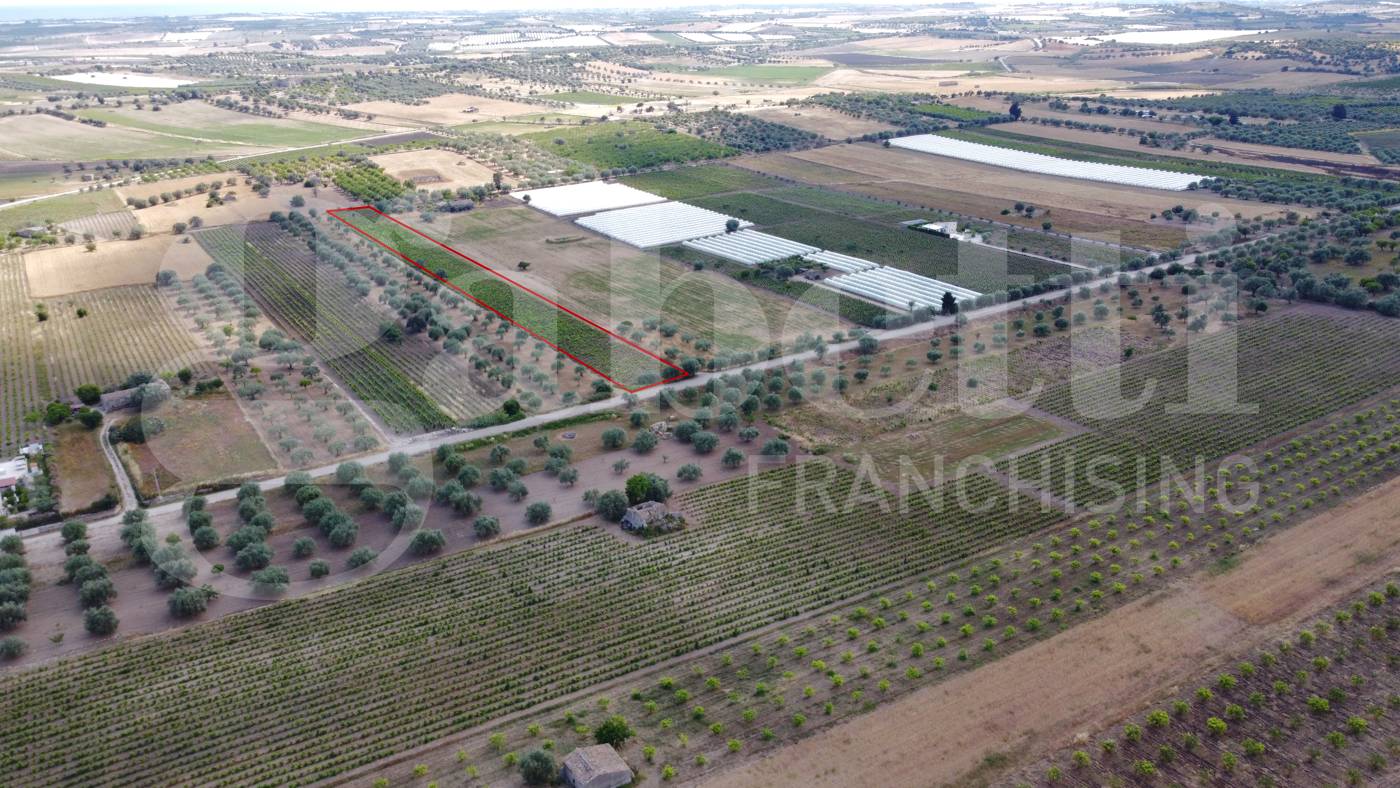 Terreno agricolo, Noto