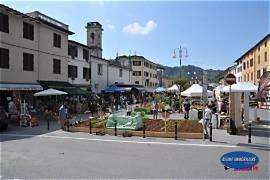 Attico - Mansarda Viale G. Oberdan,, Camaiore