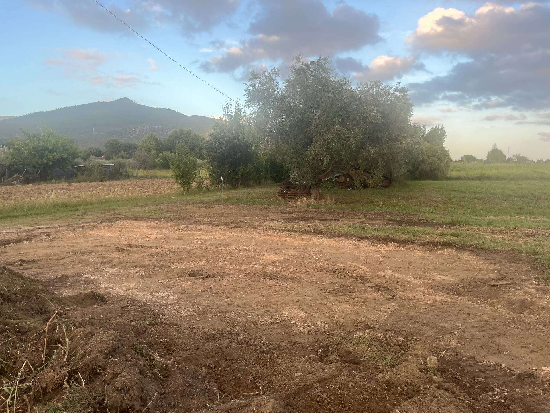 Terreno agricolo via giulio guelfi122, Cascina