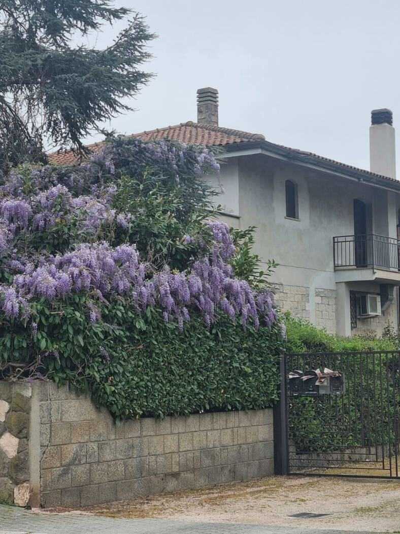 Casa indipendente Via Cagliari, Aprilia