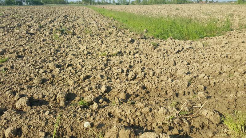 Terreno agricolo, Portogruaro