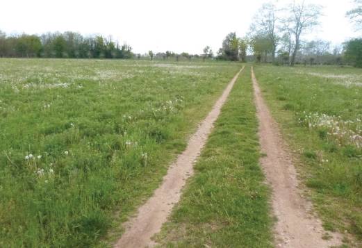 Terreno agricolo Padernello, Paese