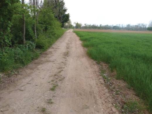  - foto 3