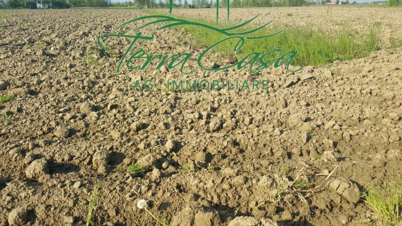Terreno agricolo Casier, Casier