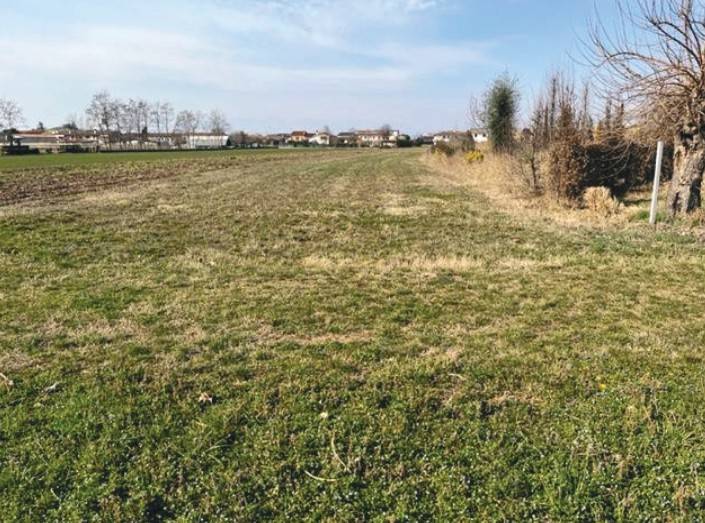 Terreno agricolo Istrana, Istrana