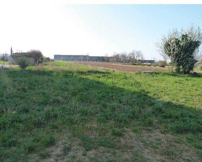  - foto 10