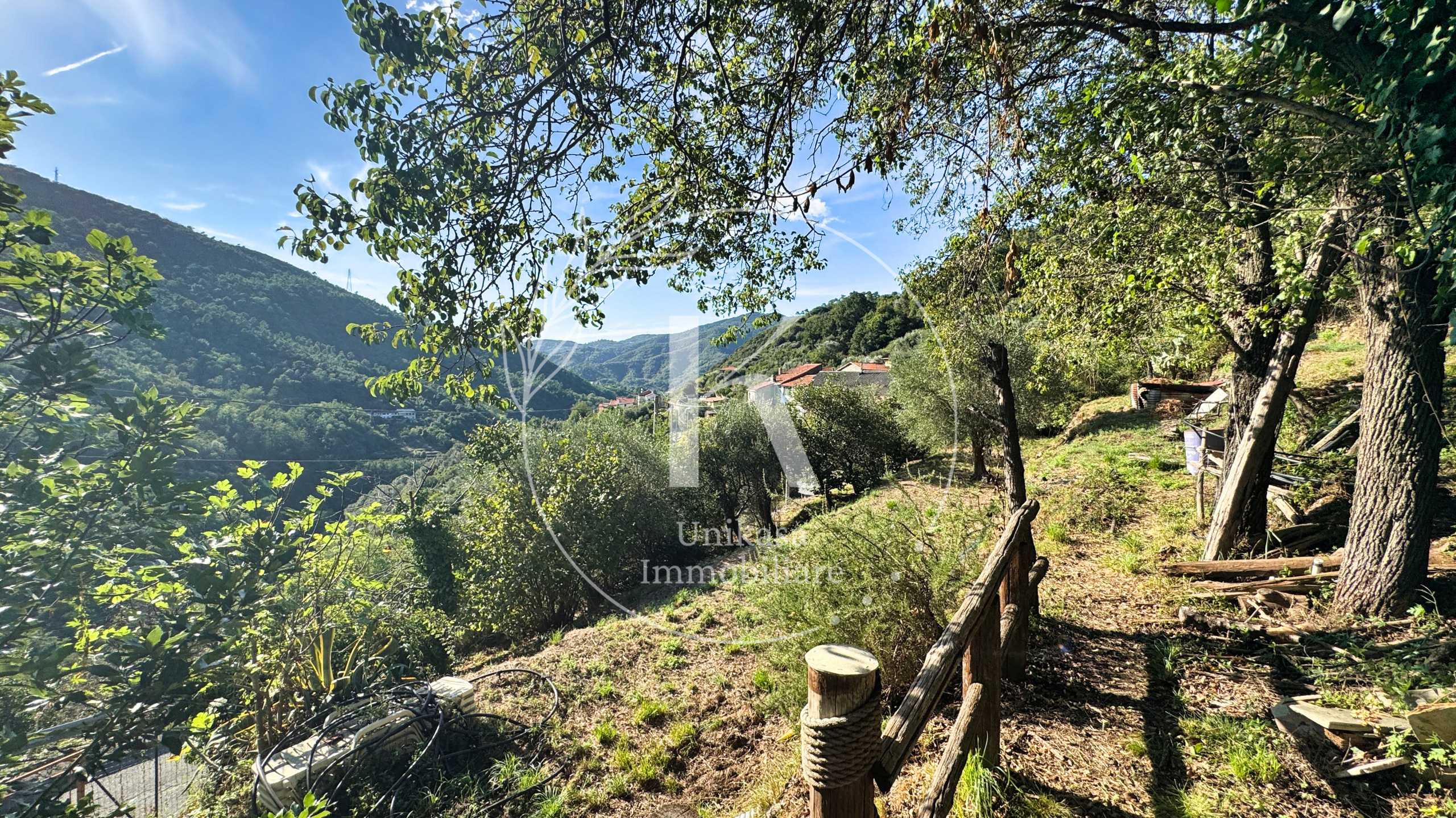  - foto 49