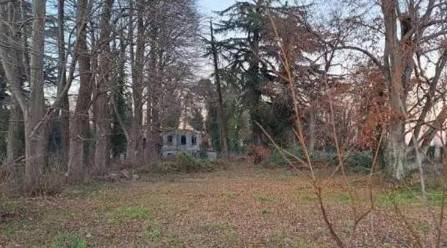 Altro Mogliano Veneto, Mogliano Veneto