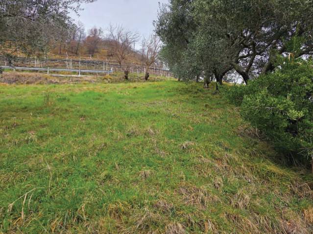  - foto 2