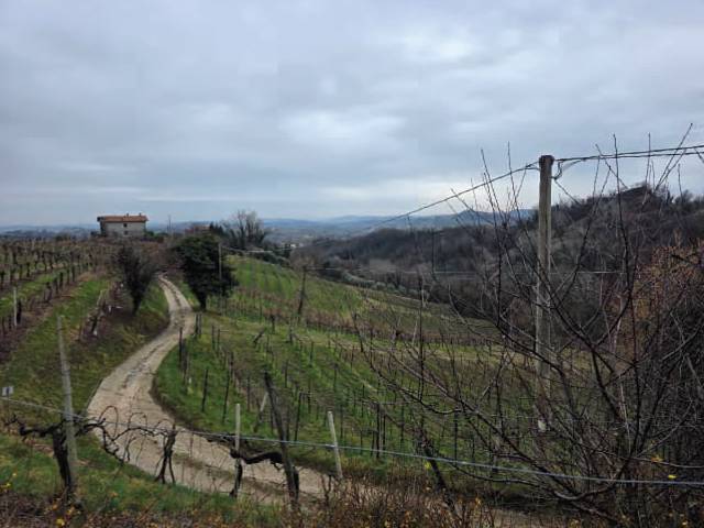  - foto 3