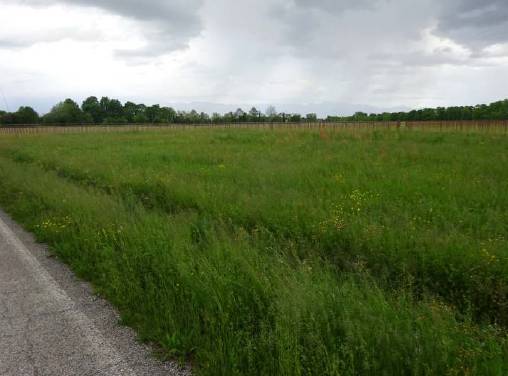 Terreno agricolo Fiume Veneto, Fiume Veneto