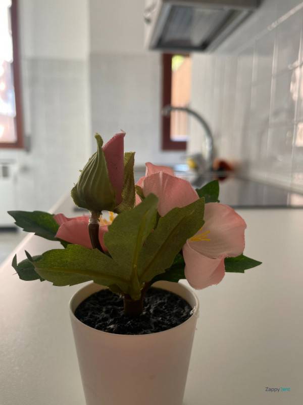  - foto 10