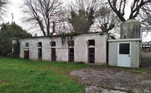  - foto 10