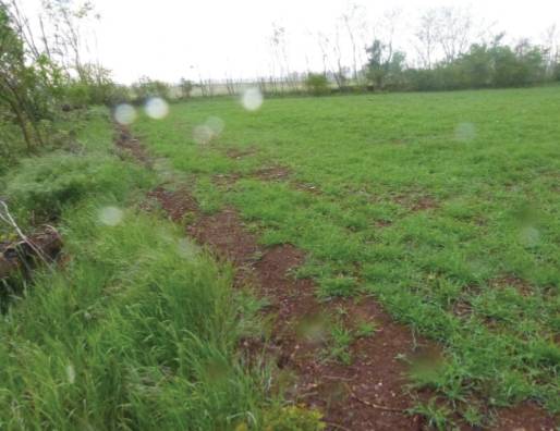 Terreno agricolo Paese, Paese