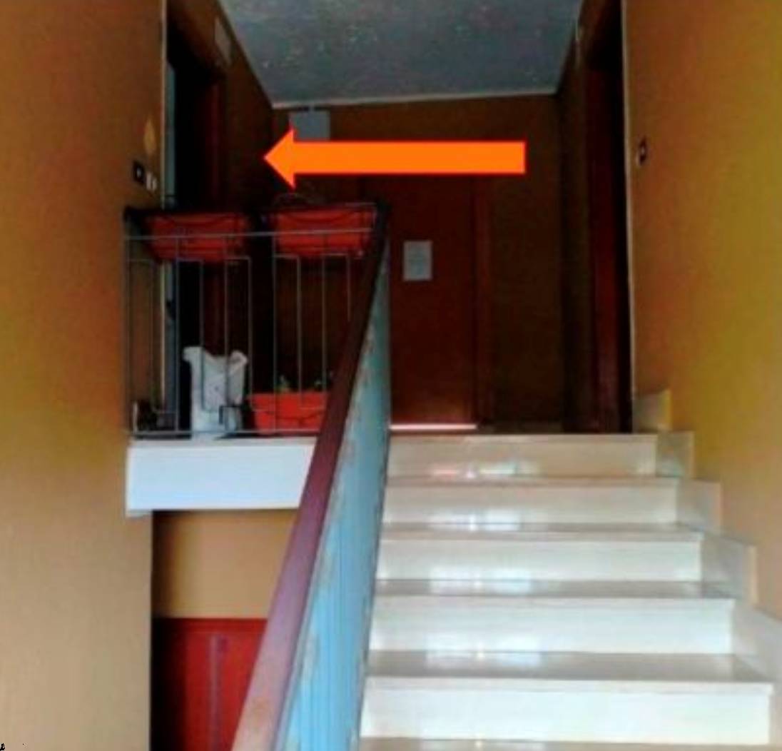  - foto 8