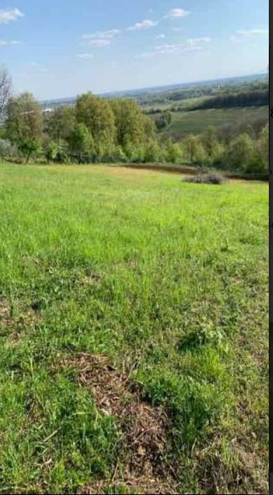 Terreno agricolo, Orgiano