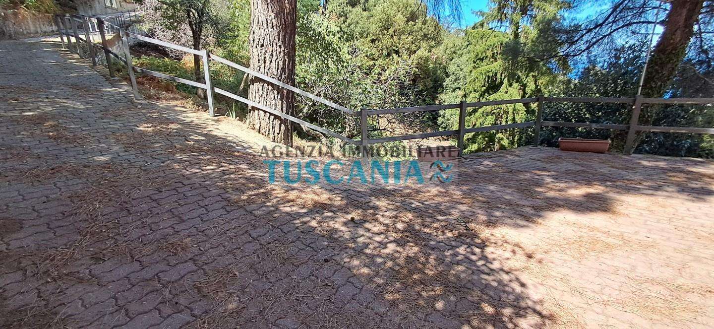  - foto 22