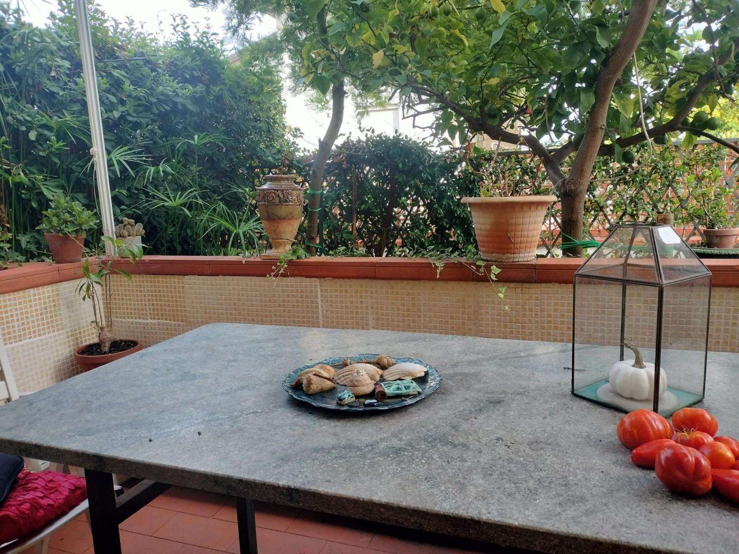  - foto 6