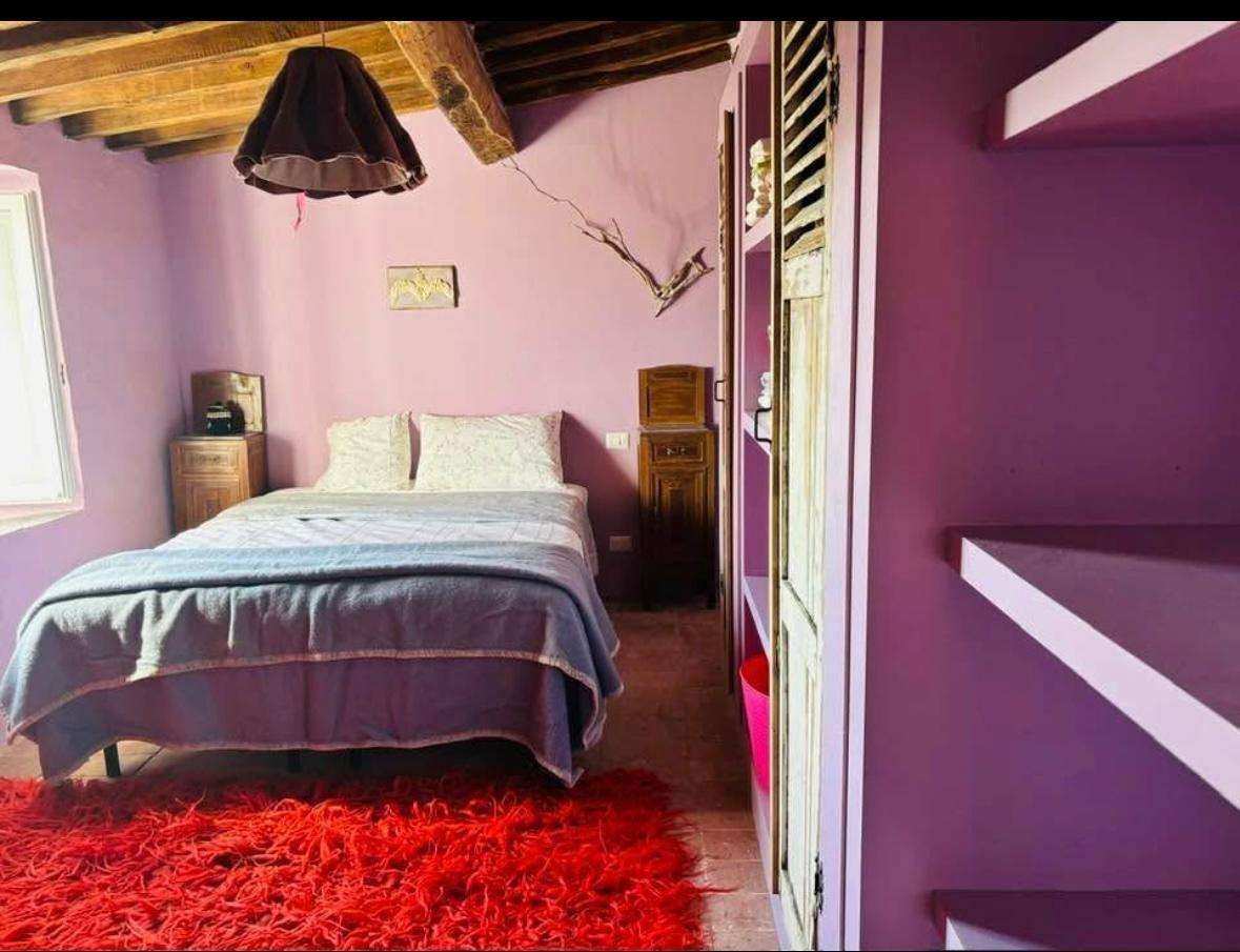  - foto 10