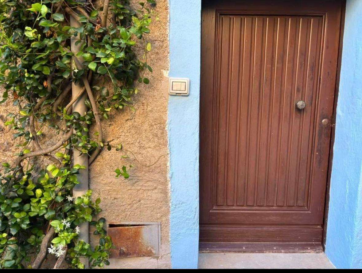  - foto 62