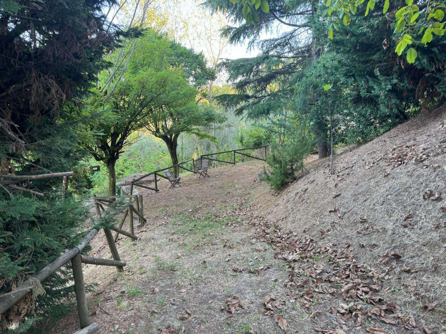  - foto 8
