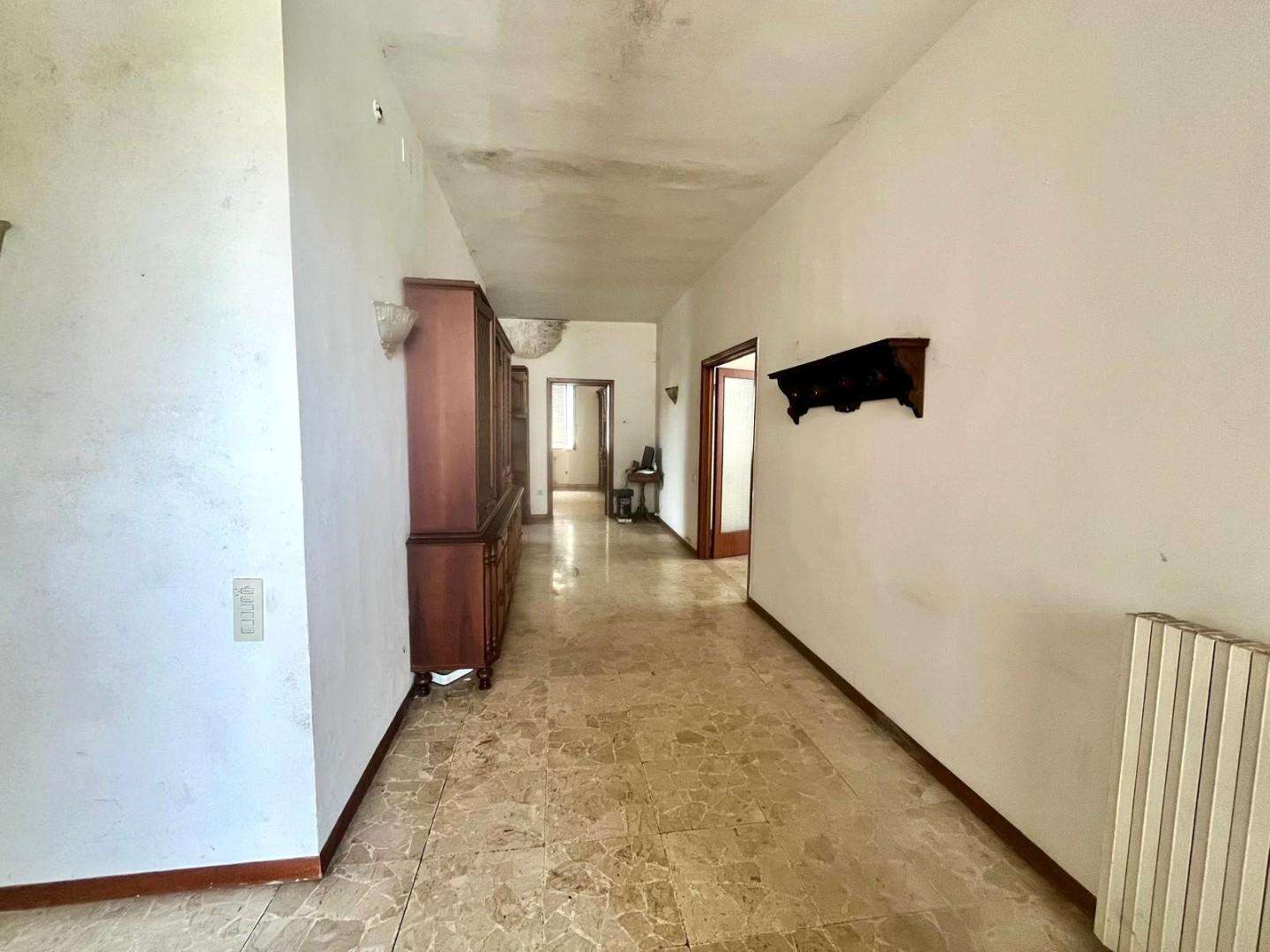  - foto 11