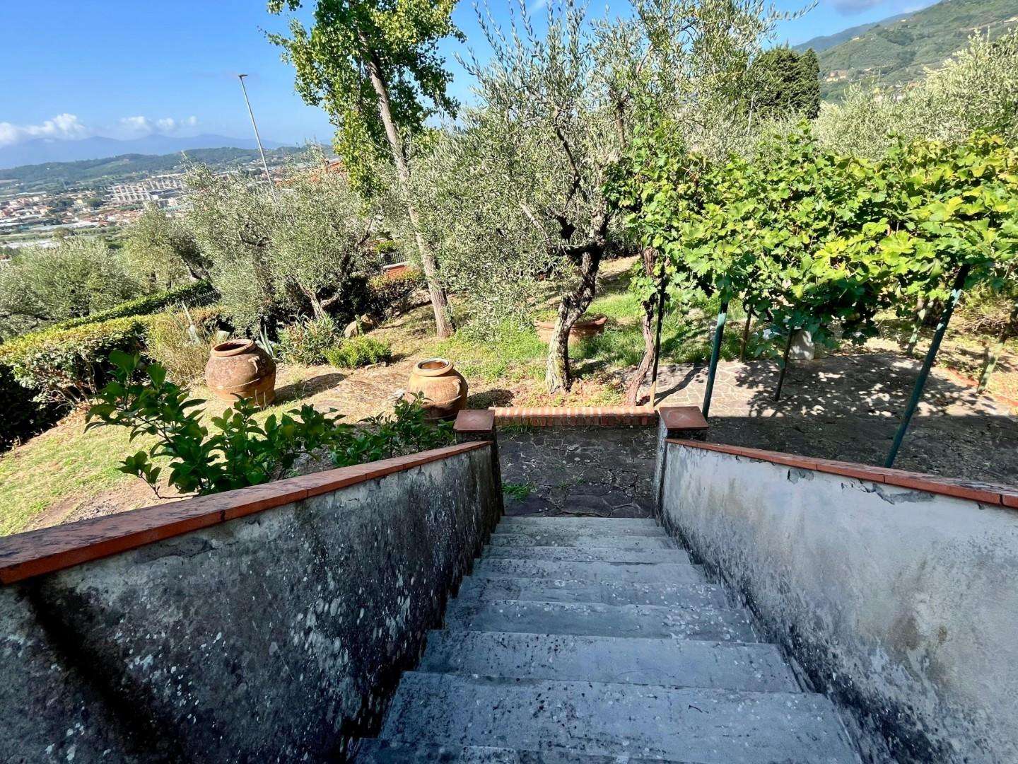  - foto 34