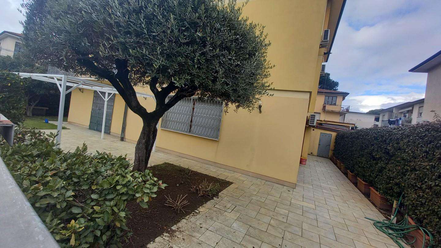  - foto 23