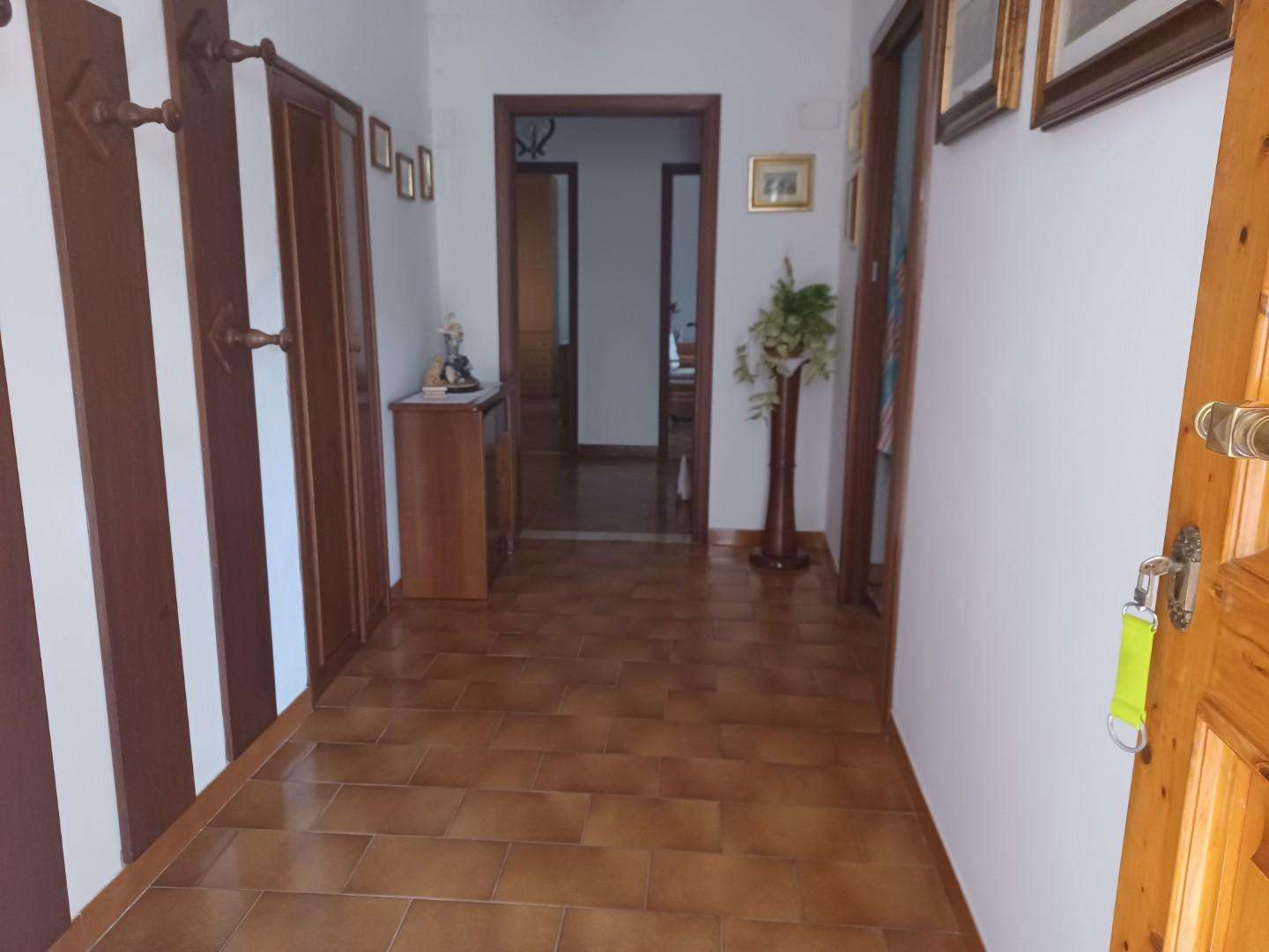  - foto 11