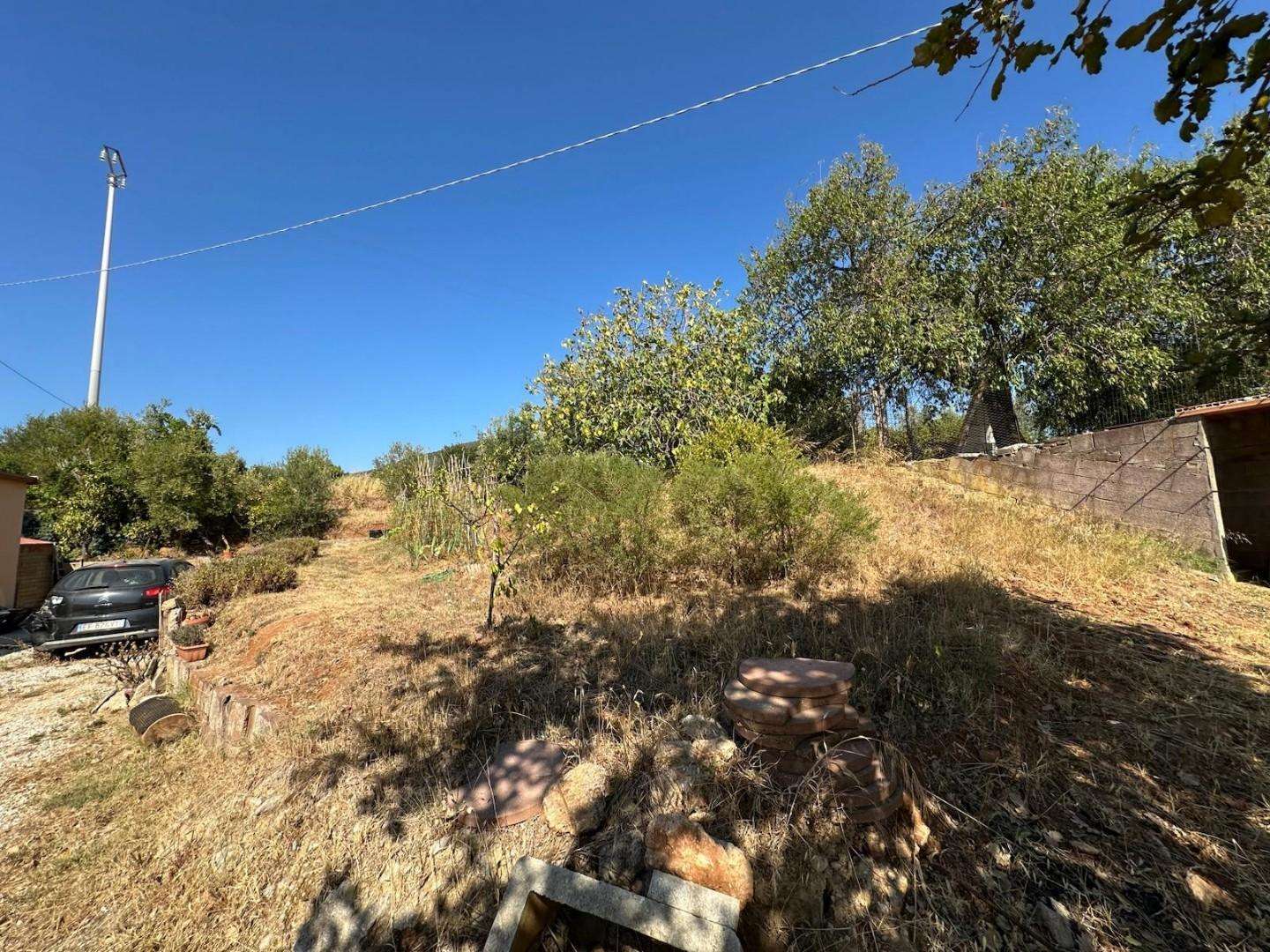  - foto 23