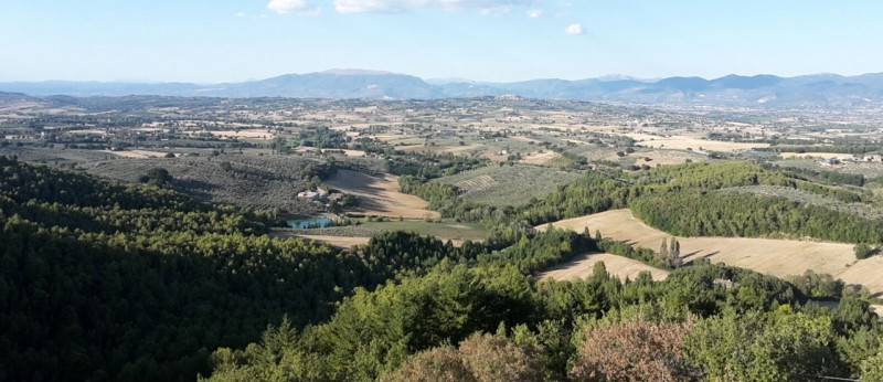  - foto 5