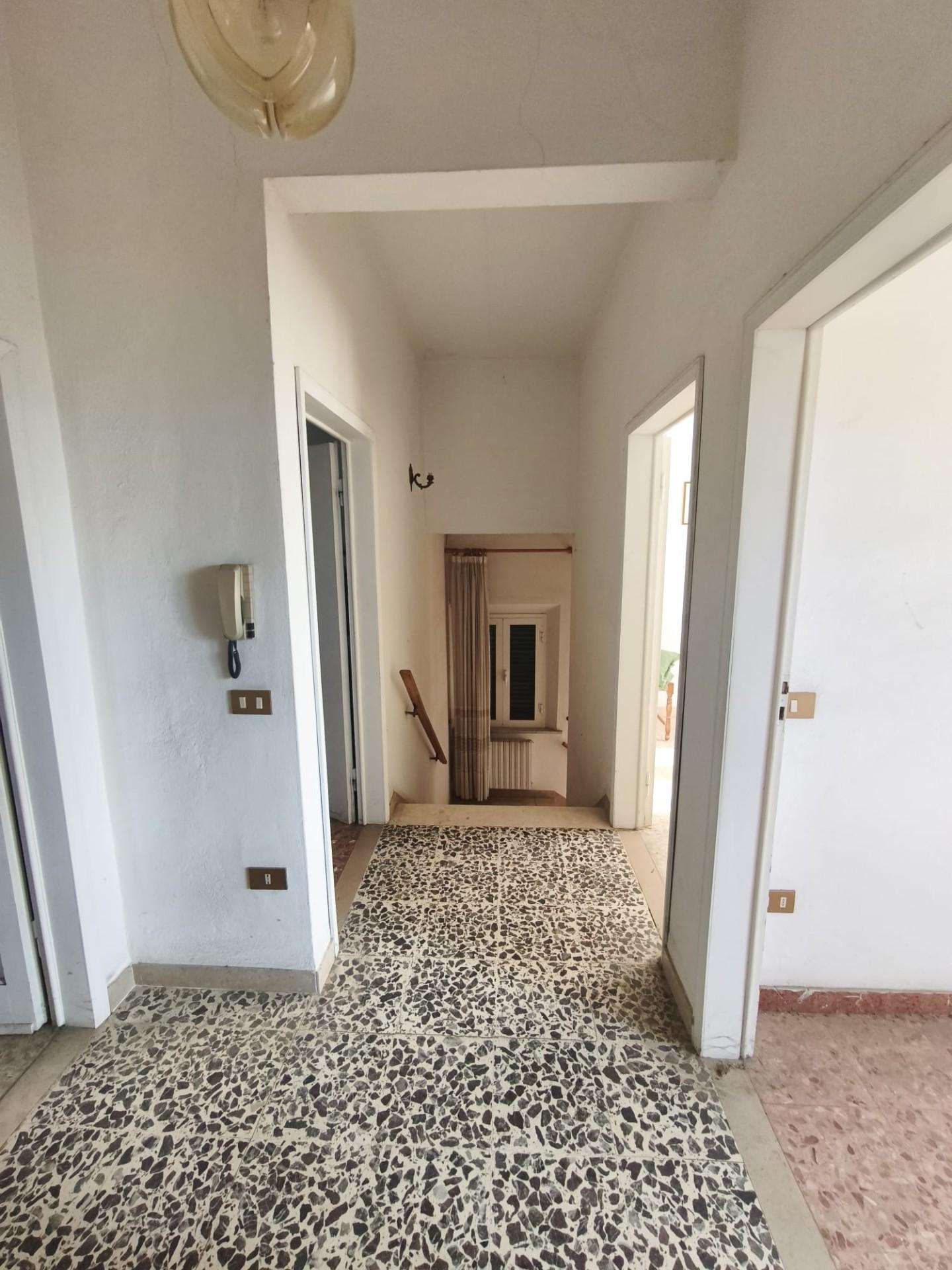  - foto 13