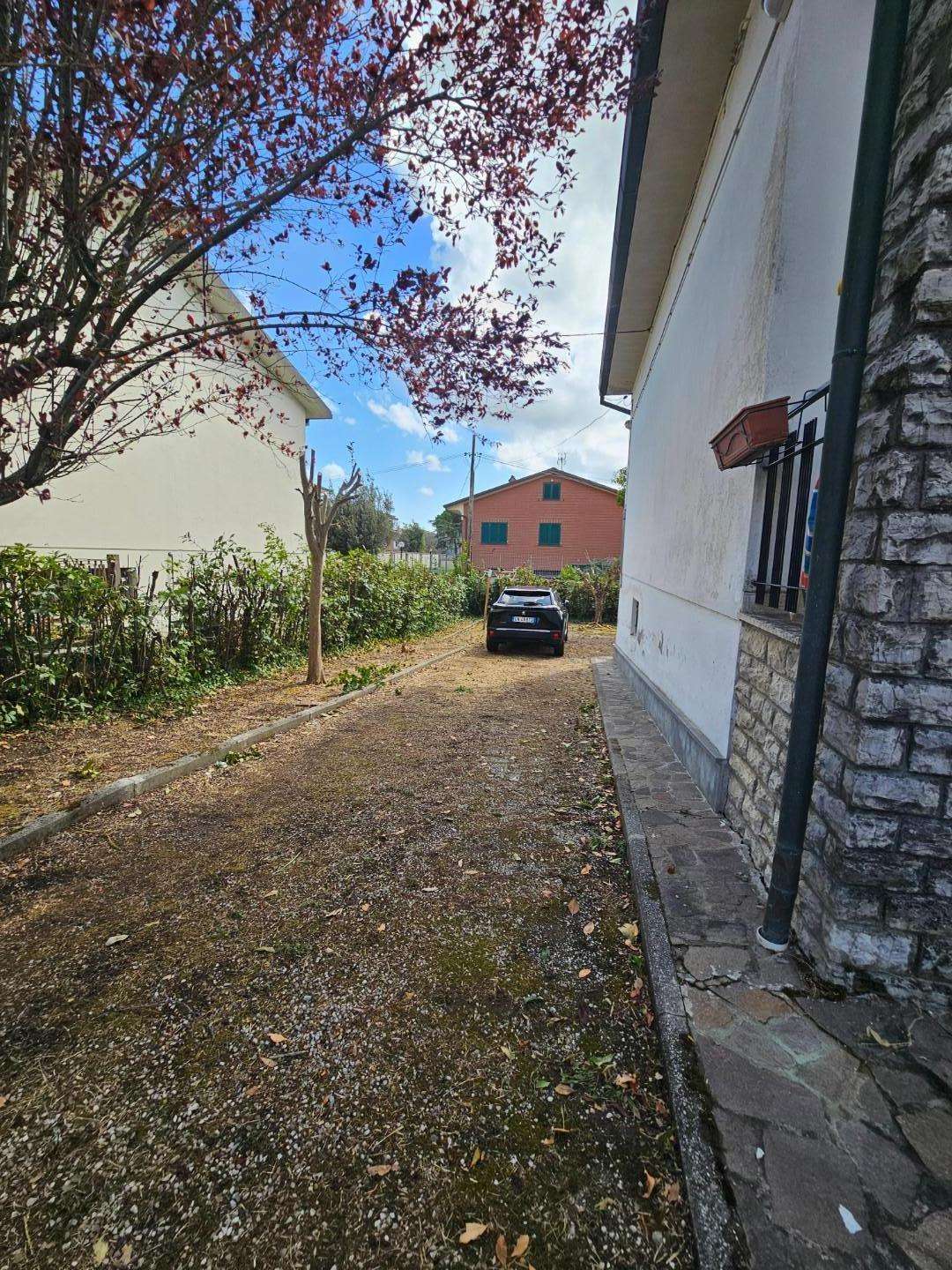  - foto 19