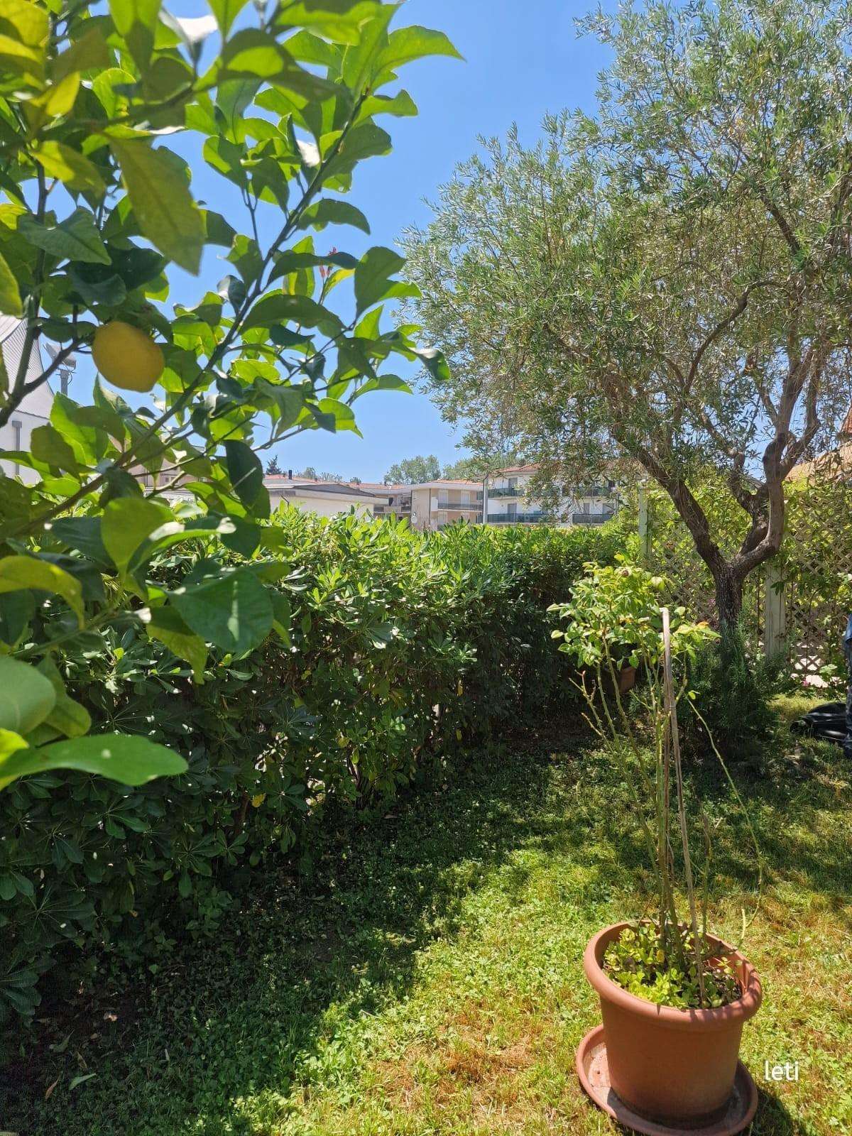  - foto 5
