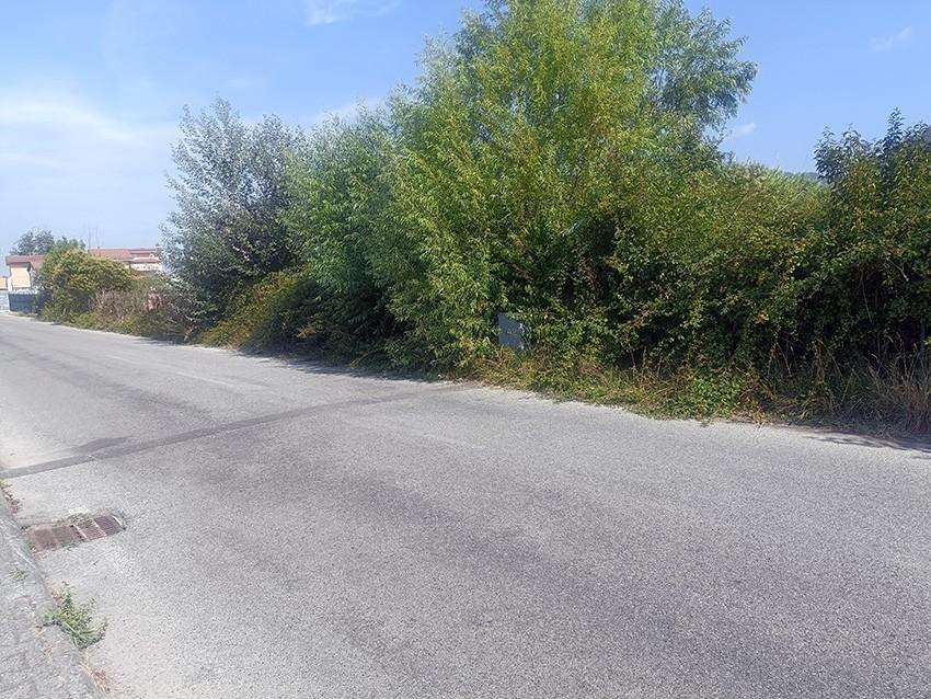  - foto 5
