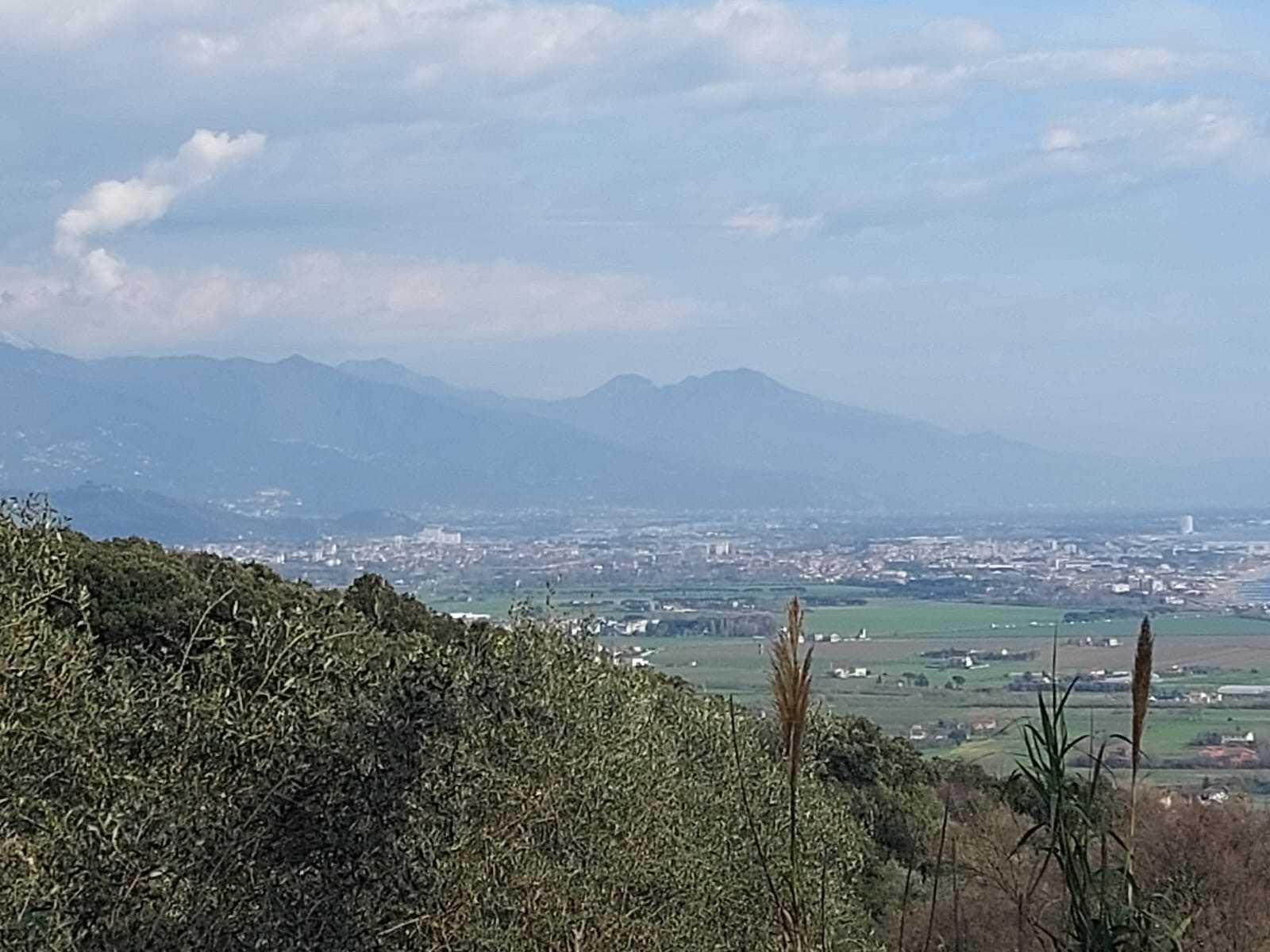  - foto 4