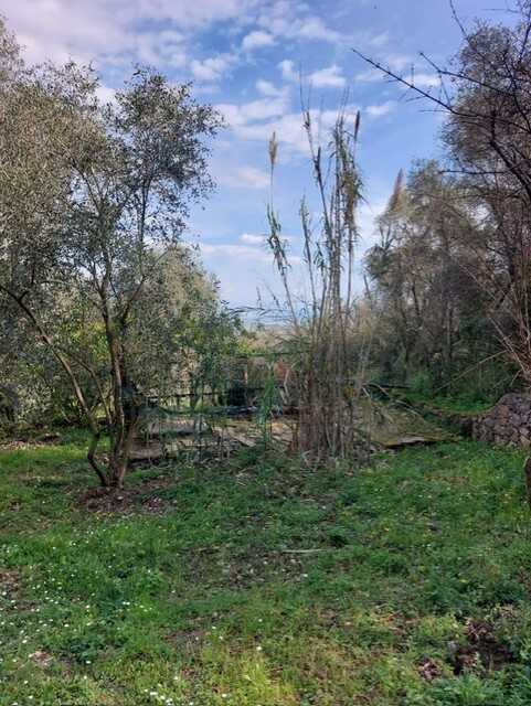  - foto 9