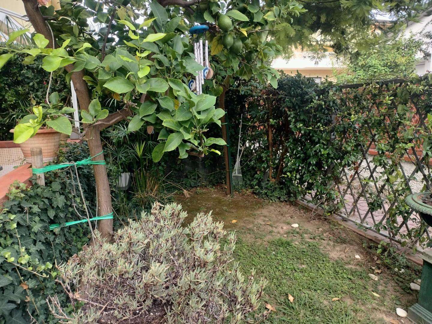 - foto 8