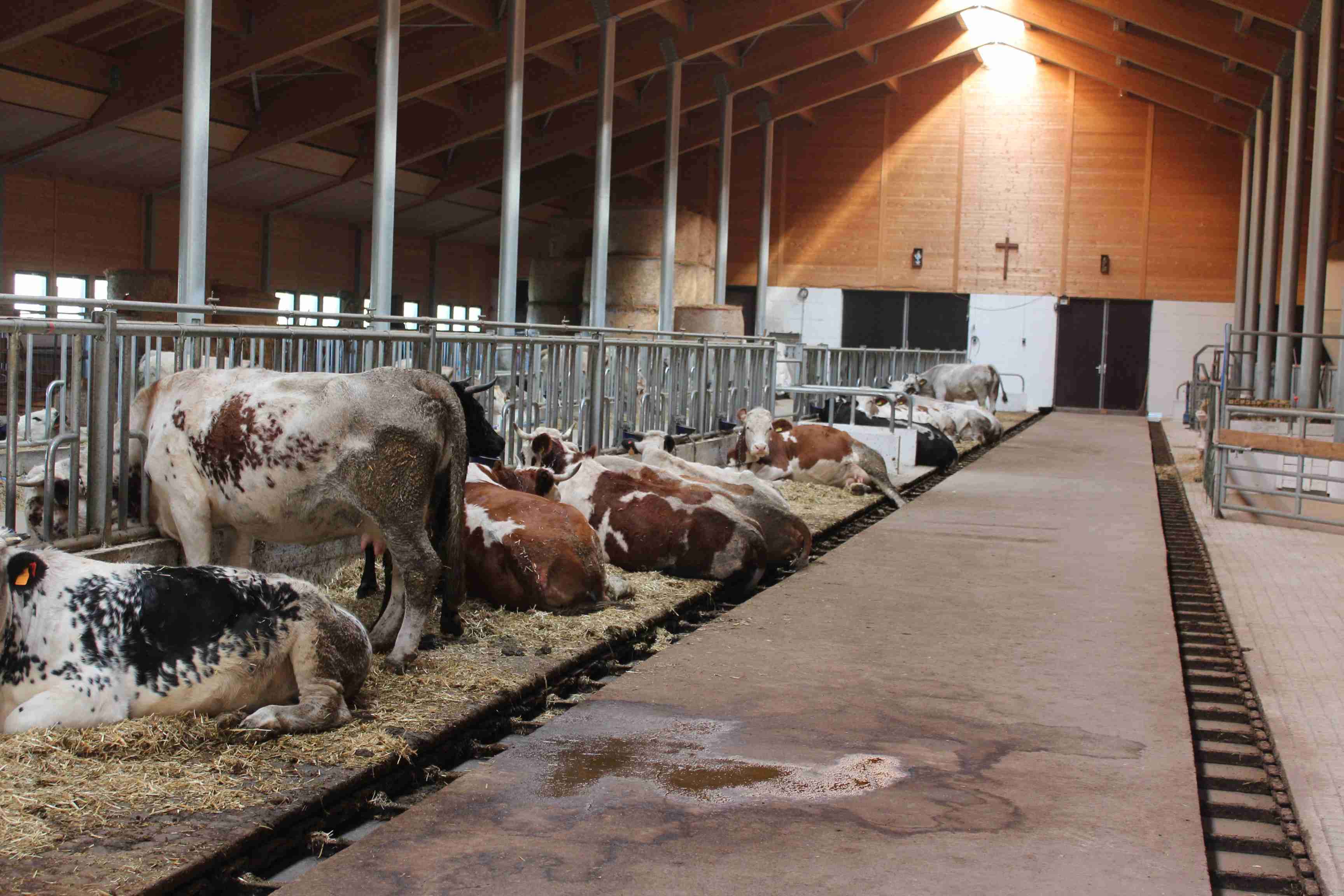 Casale Bessen Alto, Sauze di Cesana