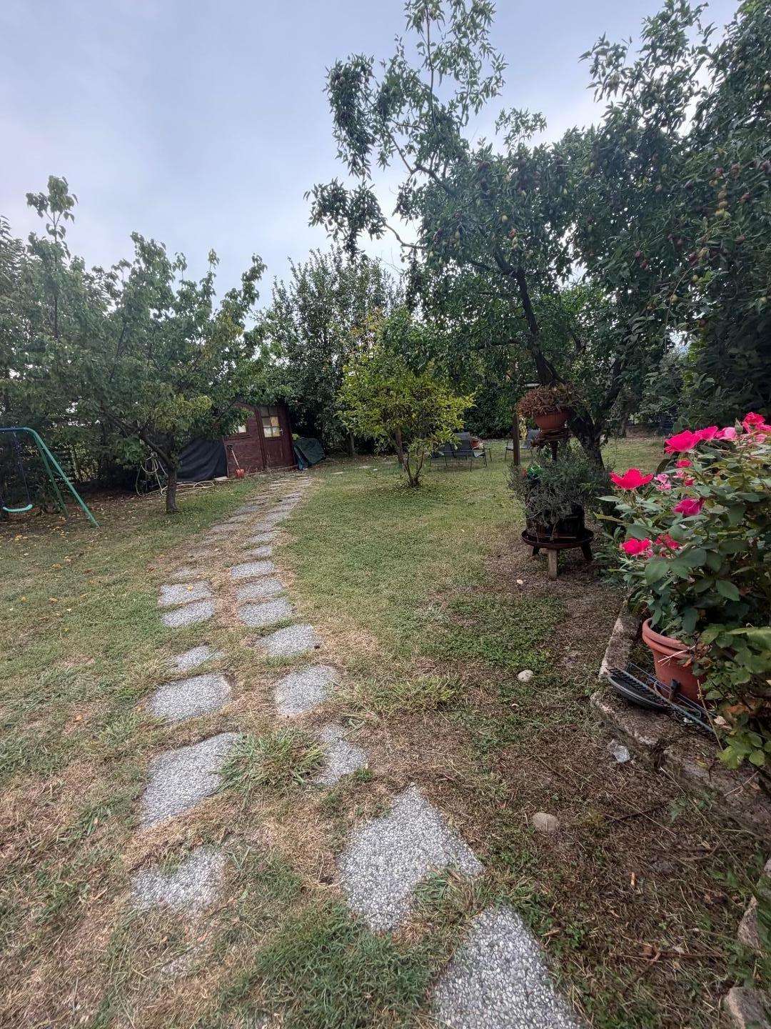  - foto 8