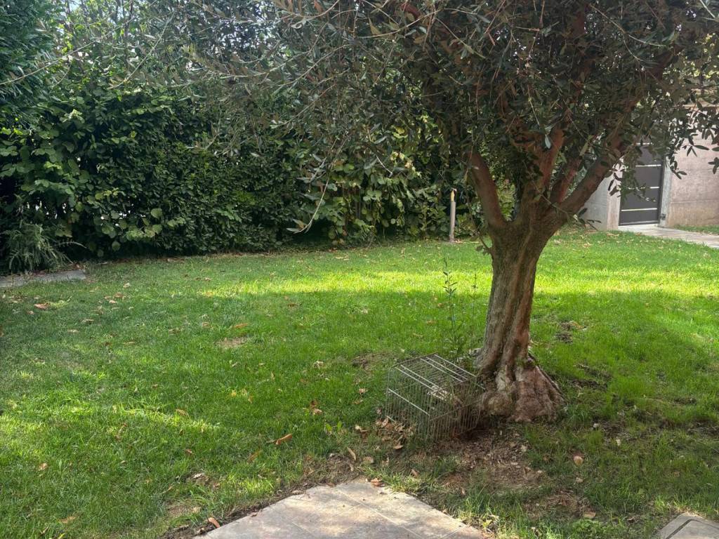  - foto 6