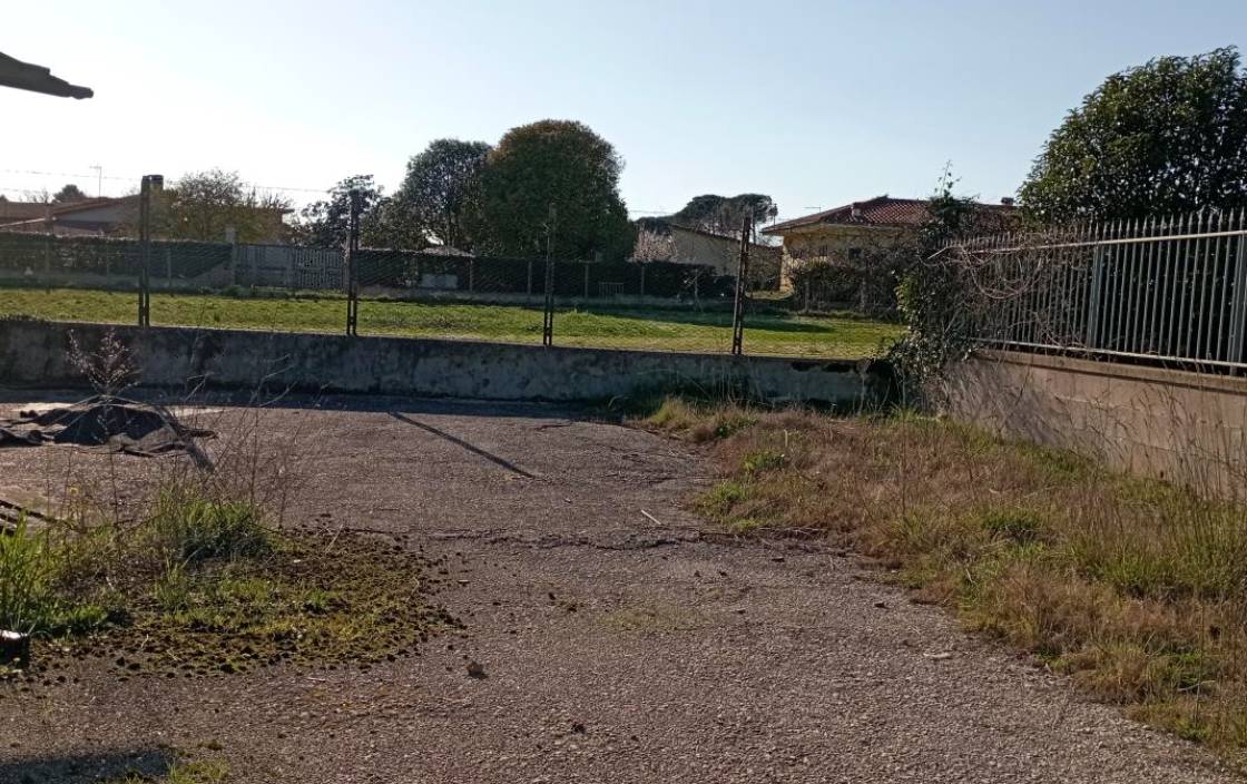  - foto 5