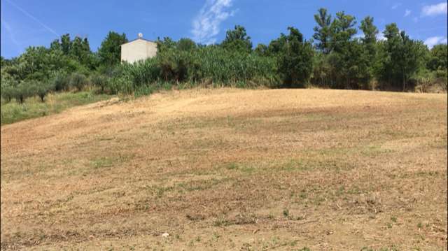 Terreno agricolo in Vendita a Santarcangelo di Romagna Lo Stradone