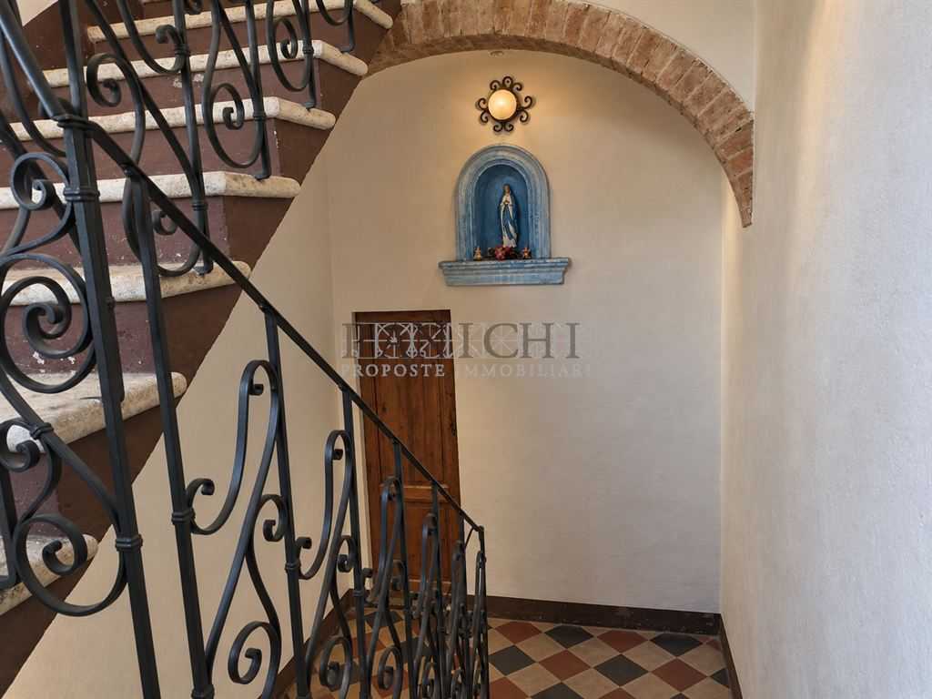  - foto 11