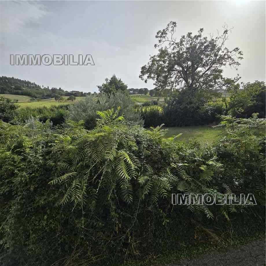  - foto 29