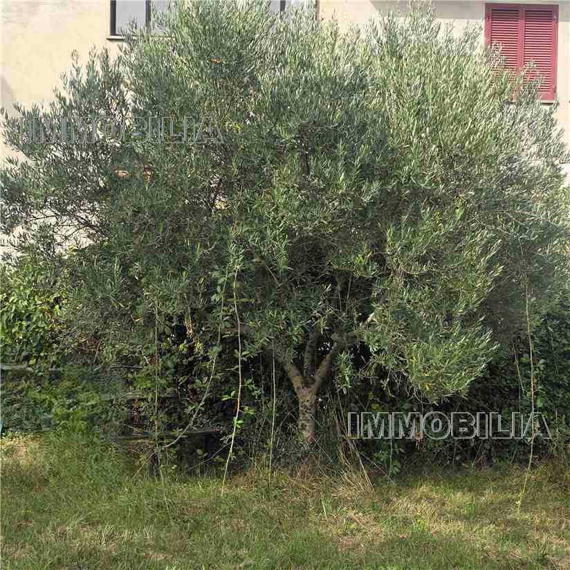  - foto 31