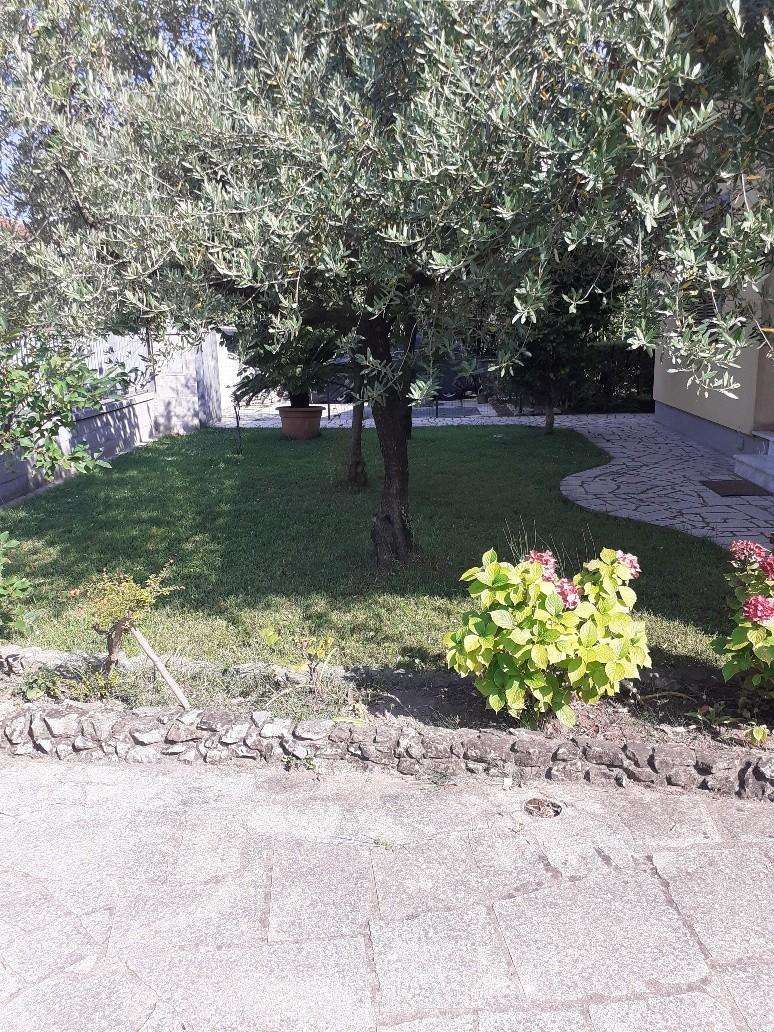  - foto 23