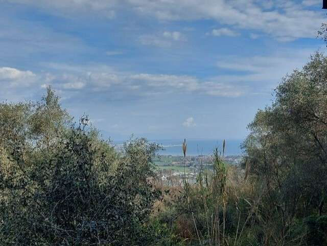  - foto 8